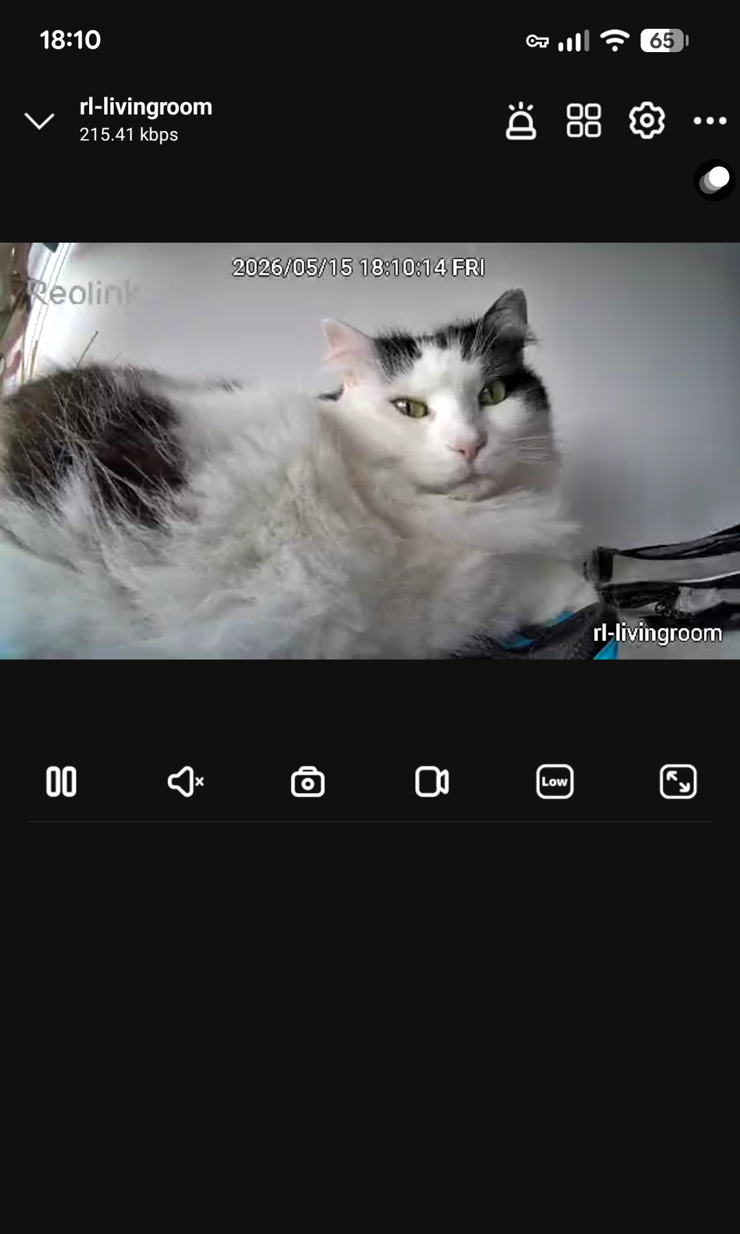 Reolink app showing a live camera feed from the local network